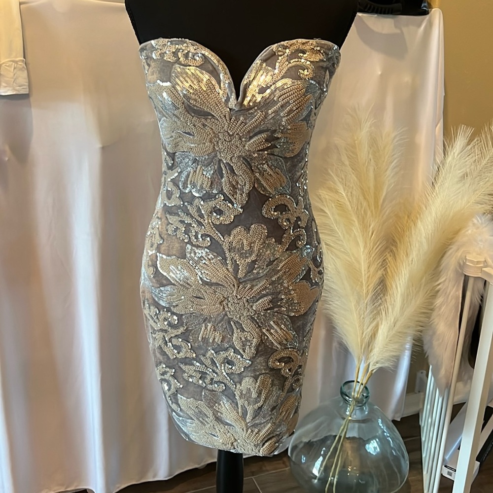 Fashion Nova silver velvet sequin dress